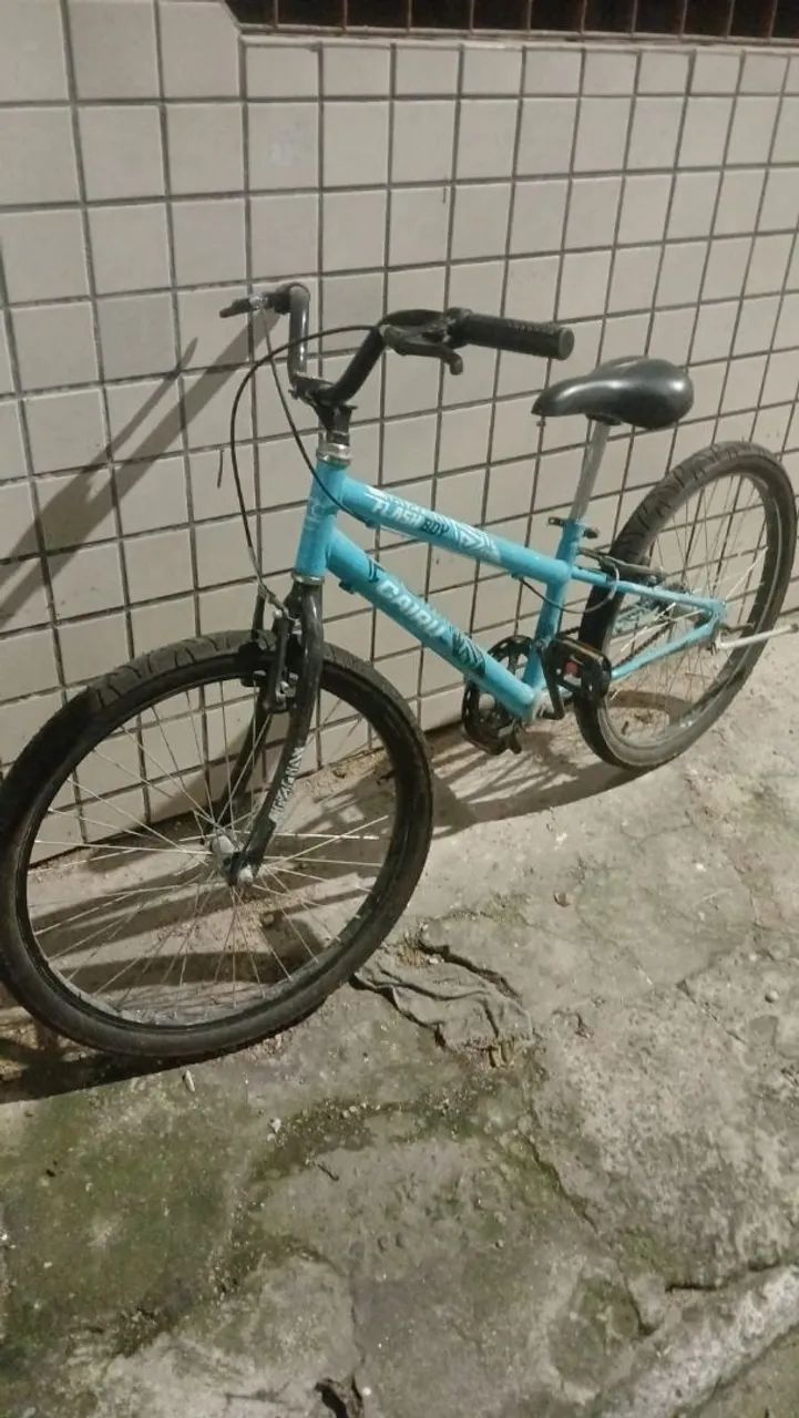 Bicicleta 