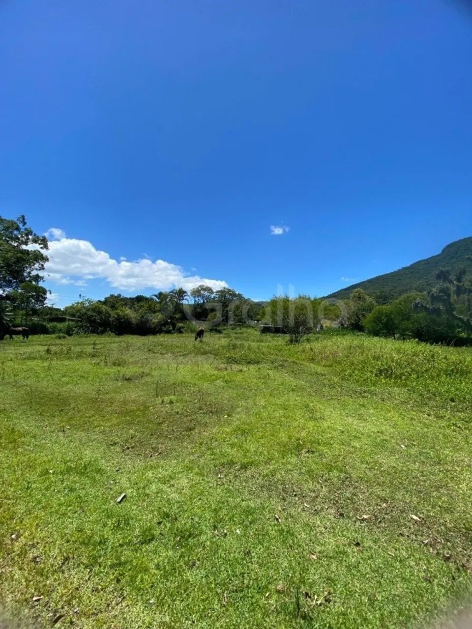 Terreno para Venda em Florianópolis, Ratones - Foto 4
