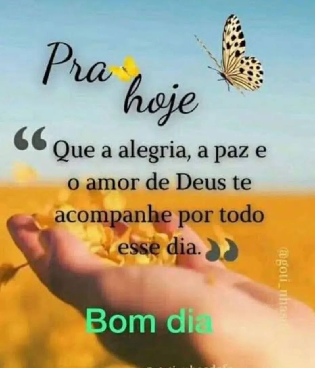 Disponível babá 