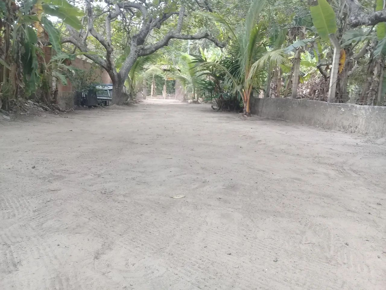 Citio - Foto 2