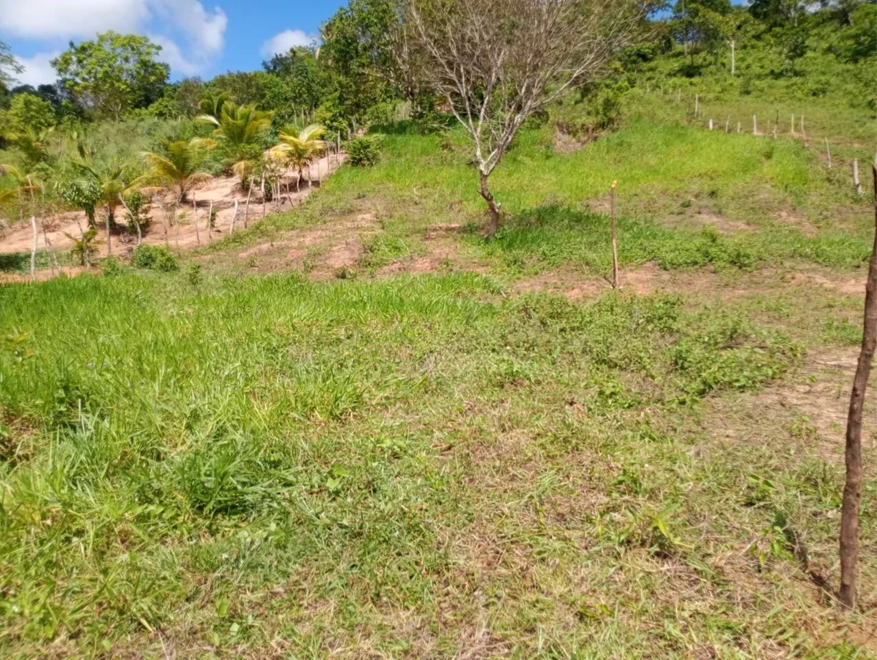 VENDO TERRENO - Foto 3