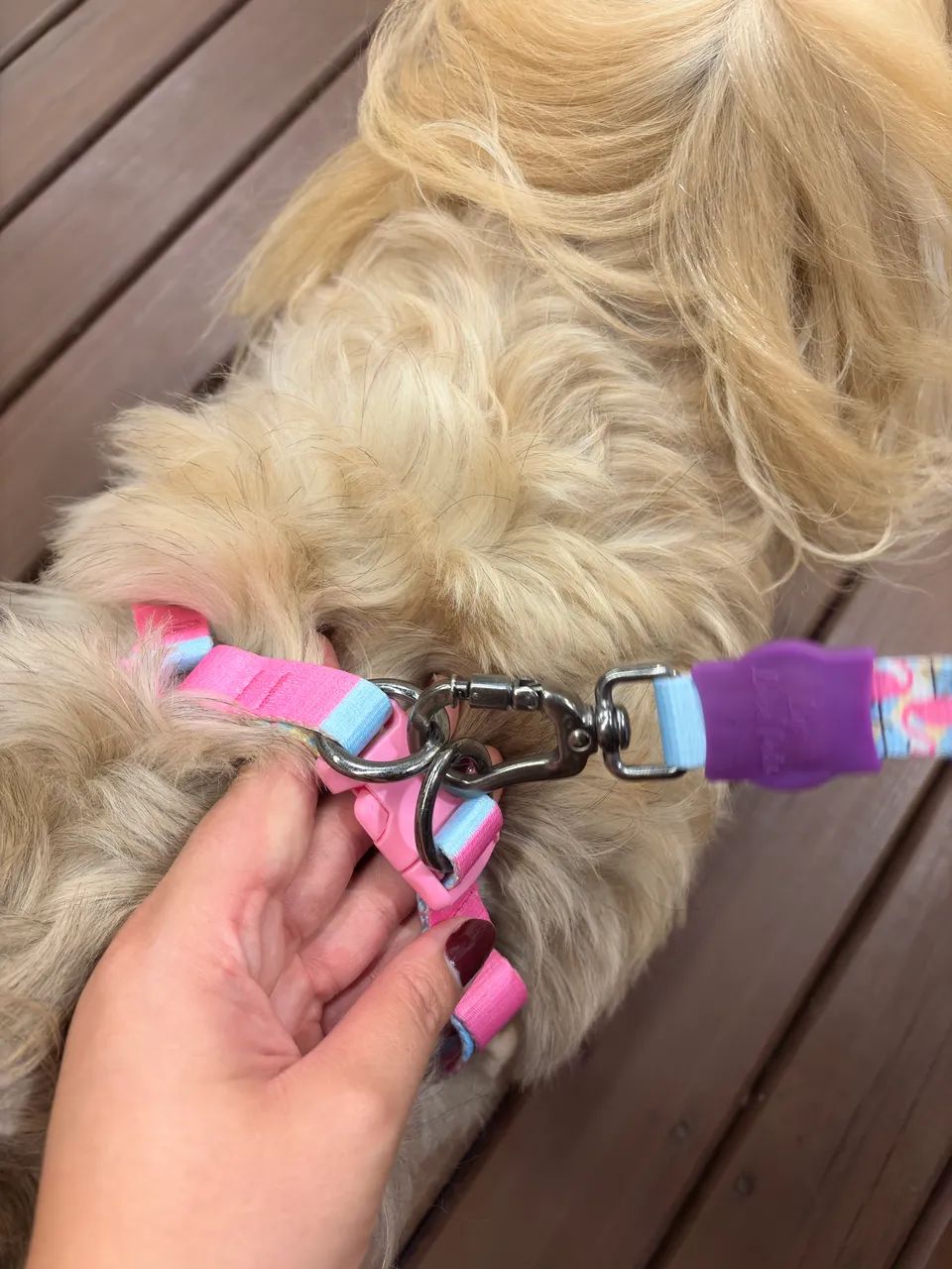 Guia cachorro M - Foto 5