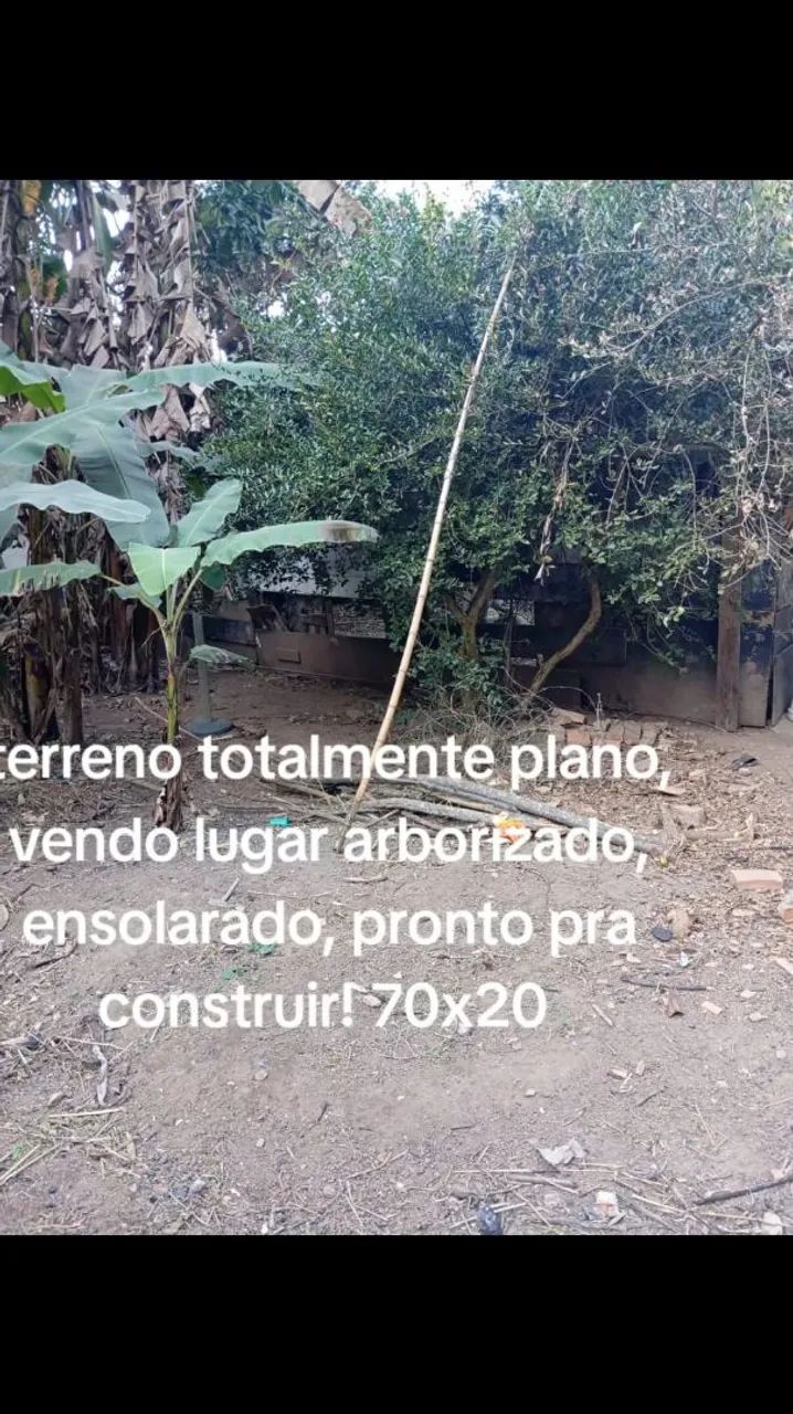 Vendo terreno - Foto 2