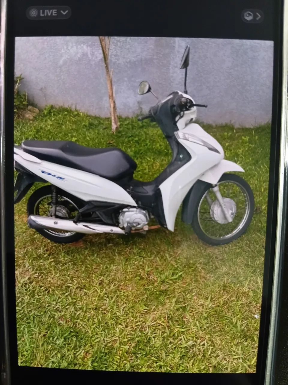 Vendo biz!!! Barbada  - Foto 3
