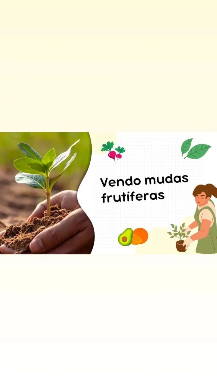 Vendo mudas frutíferas
