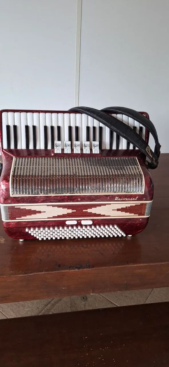 Vendo acordeon  - Foto 3