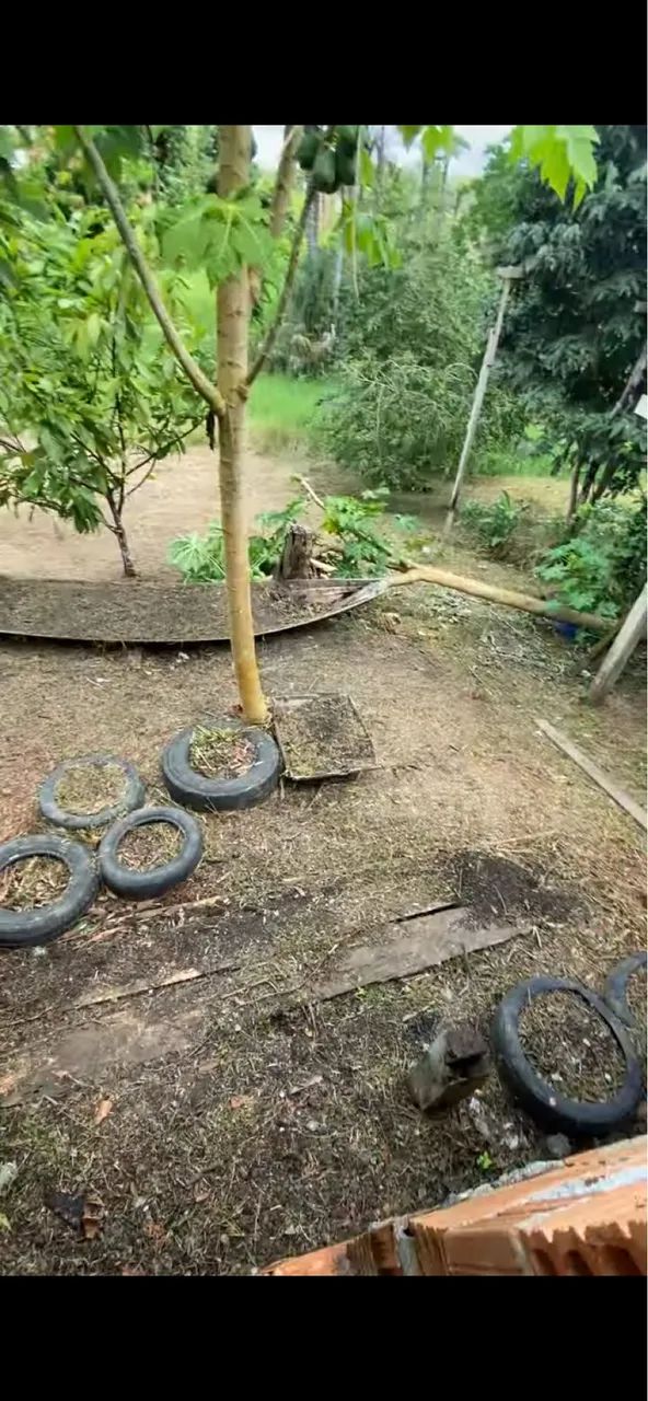 Vendo casa no PURUPURU, Estrada de Autazes  - Foto 4