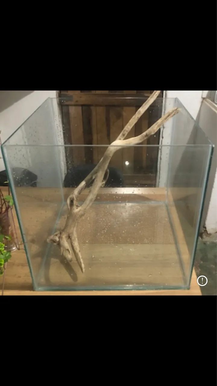 Aqaurio