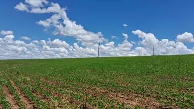Chacara 33.88ha - Foto 3