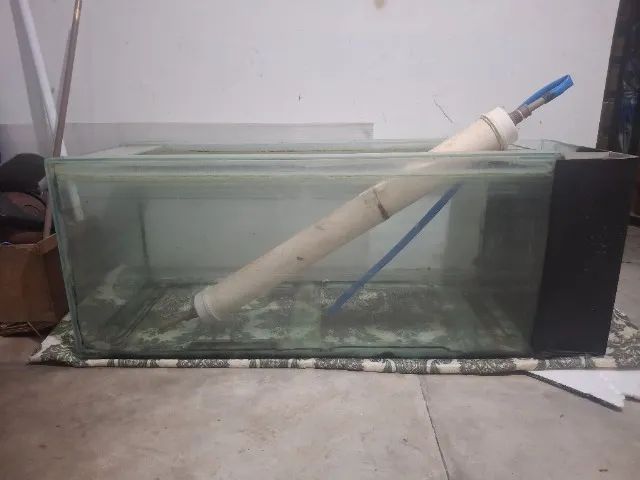 Aquário  - Foto 2