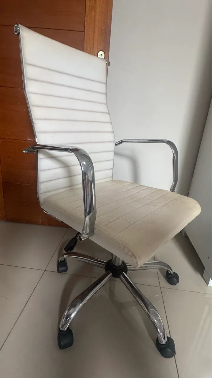 Cadeira ergonômica esteirinha presidente