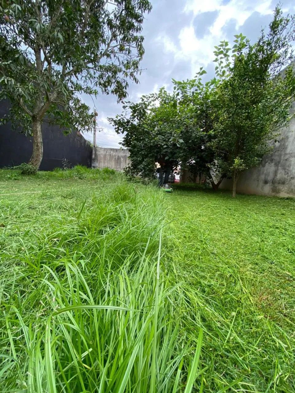 Jardinagem - Serviços em gerais! - Foto 2