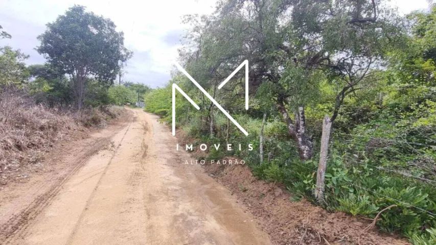 TERRENO EM VILA FLOR  - Foto 4