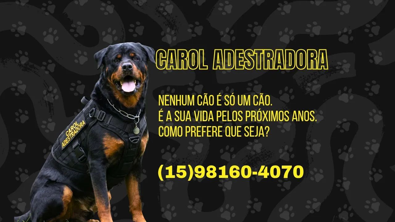 Adestramento de Cães