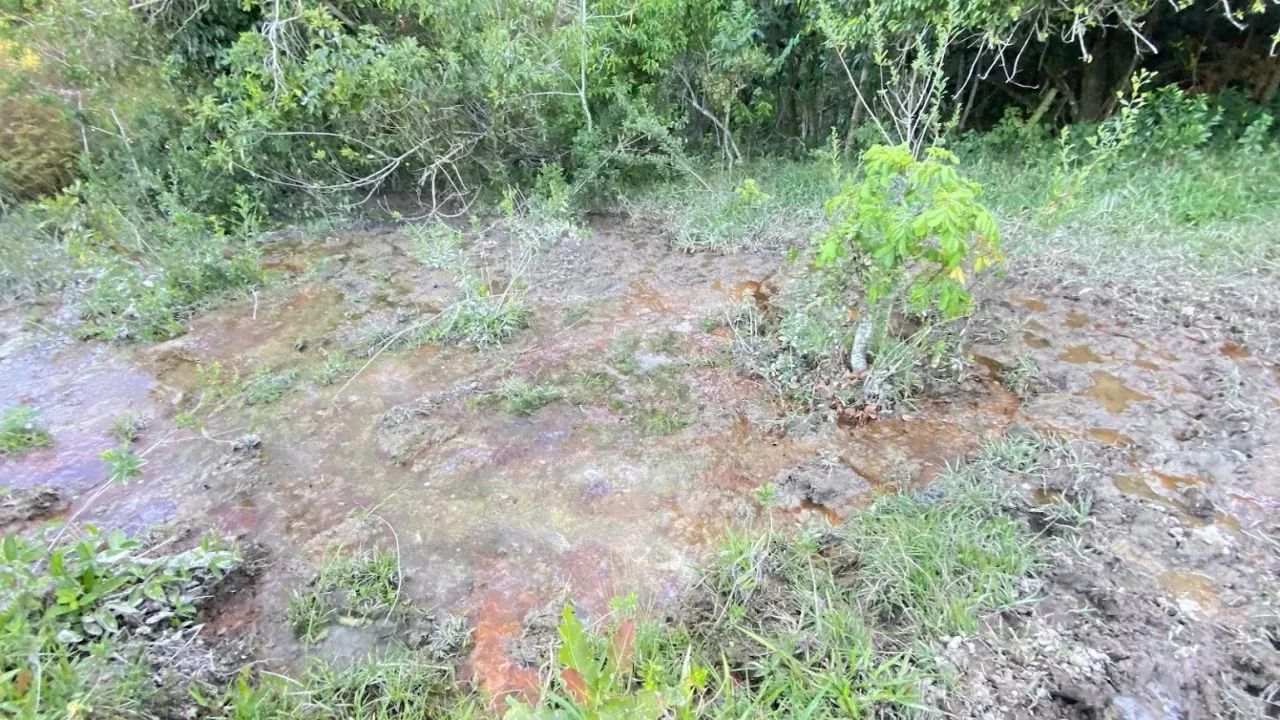Fazenda em Aragoiânia, 15,8 hectares, 1km do asfalto, 10 km do centro de Aragoiânia, excel - Foto 9