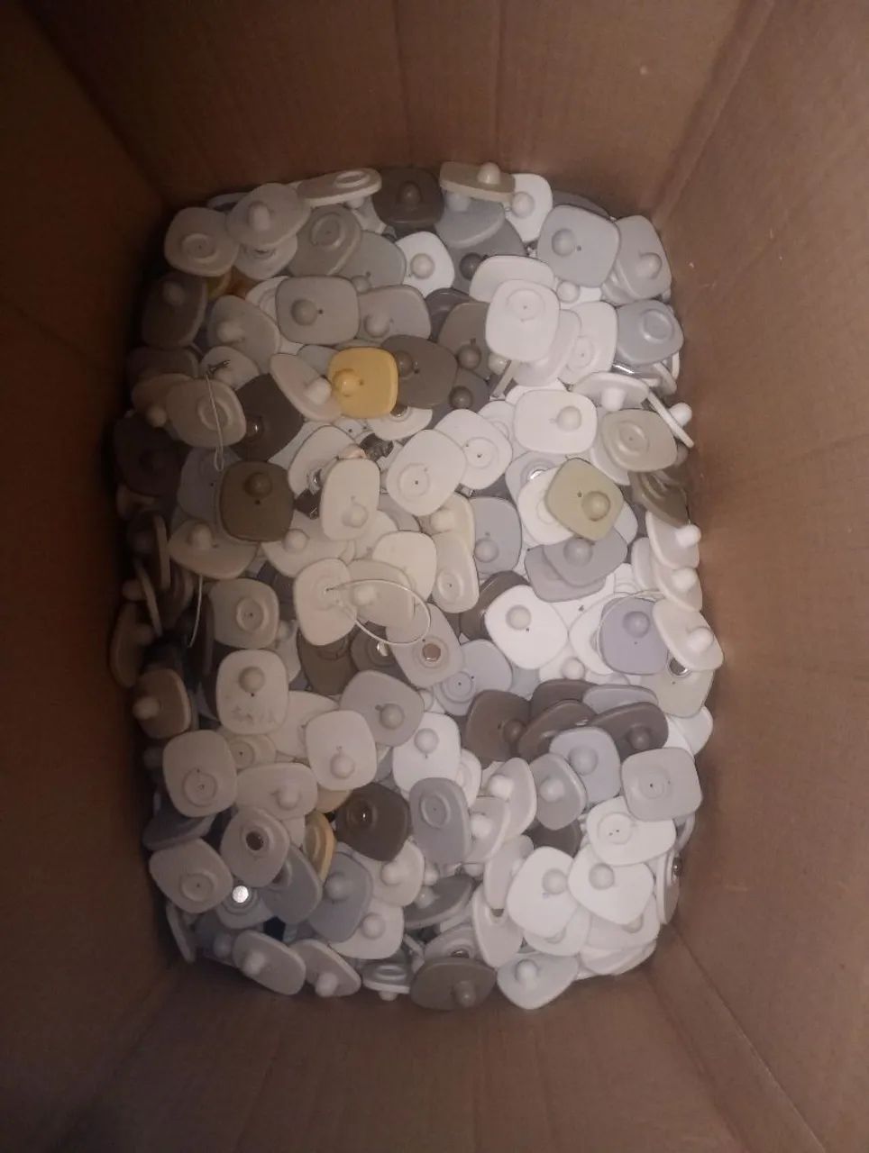 Etiqueta Rígida anti-furto 