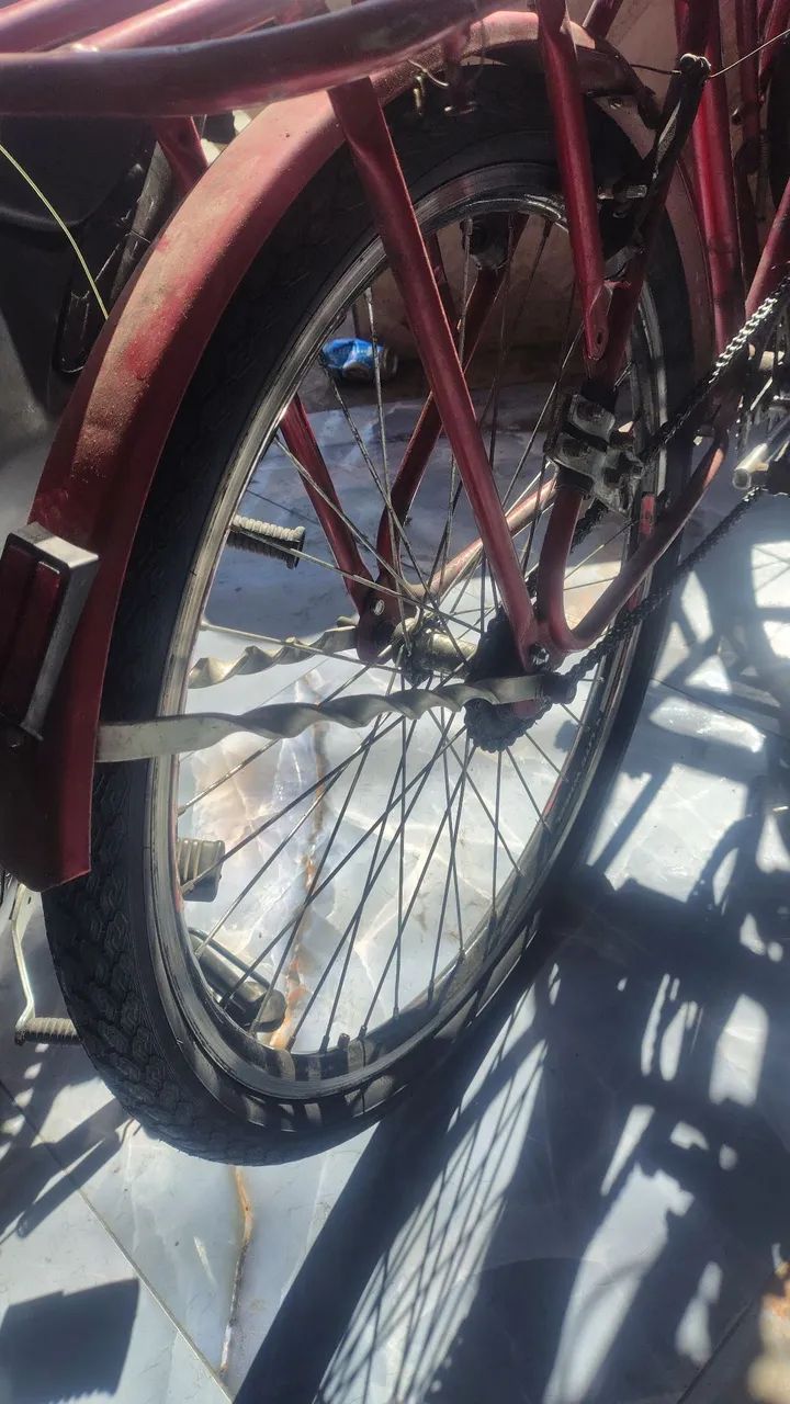BICICLETA CARGUEIRA  - Foto 2