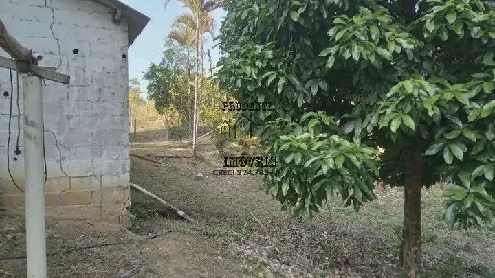 SÍTIO COMERCIAL em MIRACATU - SP, RURAL - Foto 3