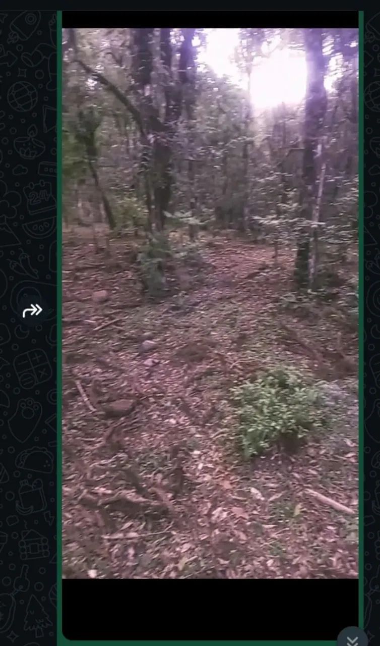 Terreno  - Foto 2