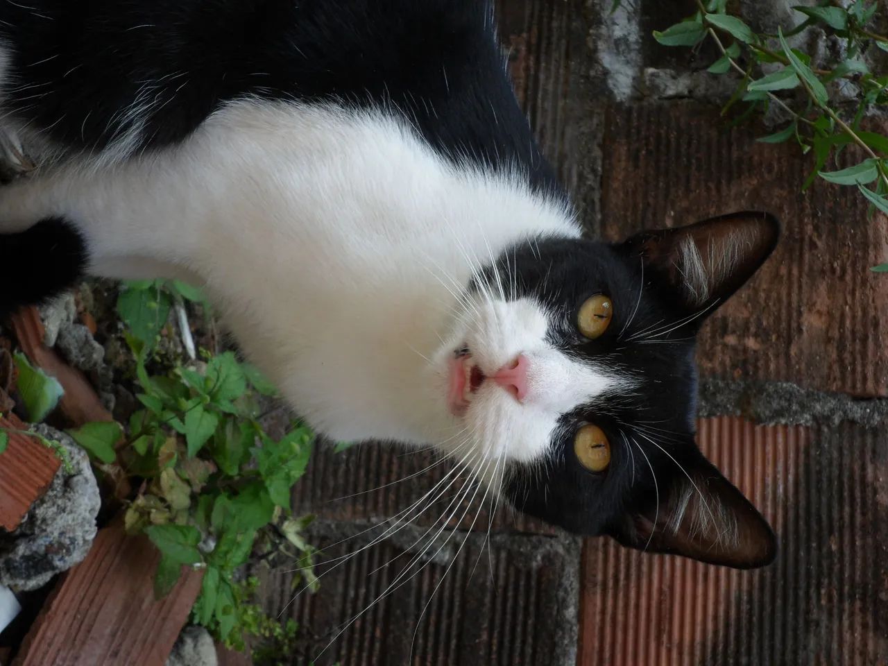 Câmera Samsung ST90, original com alta qualidade de som e imagem  - Foto 4