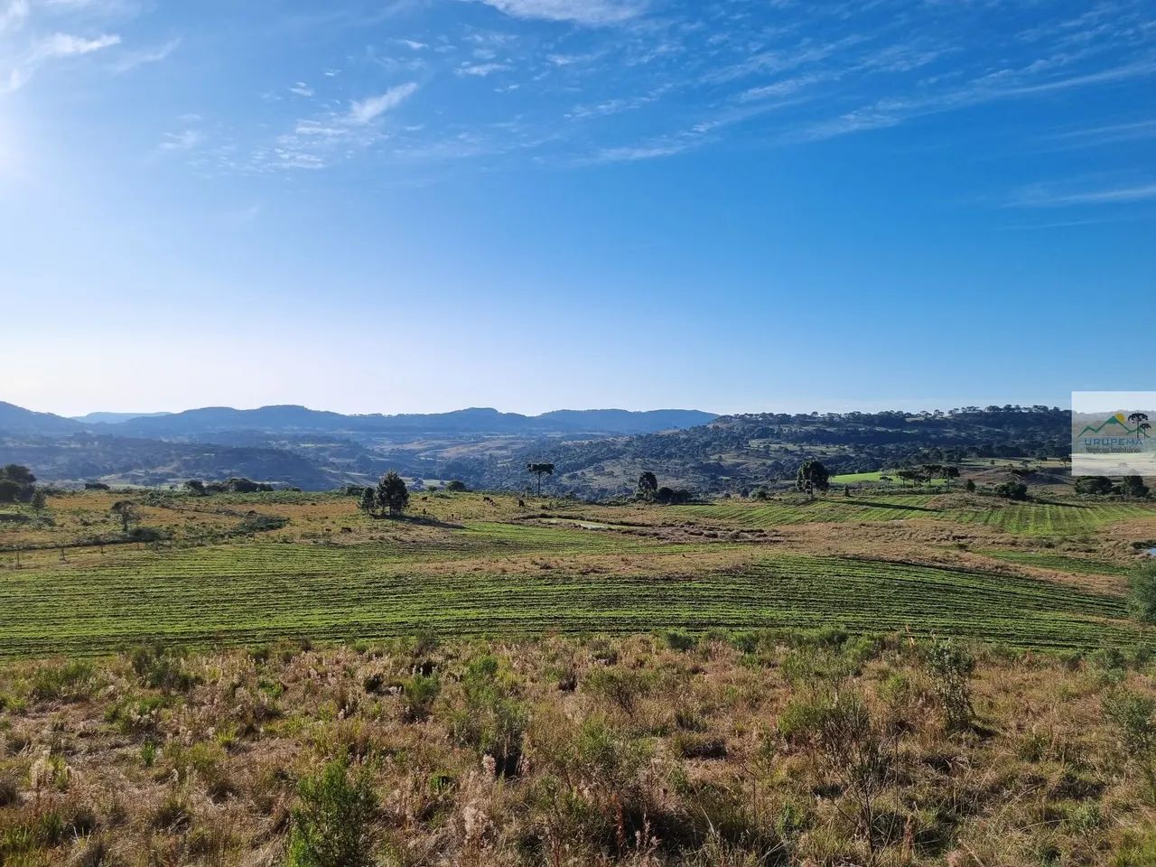 Área à venda em Urupema/SC - Foto 4