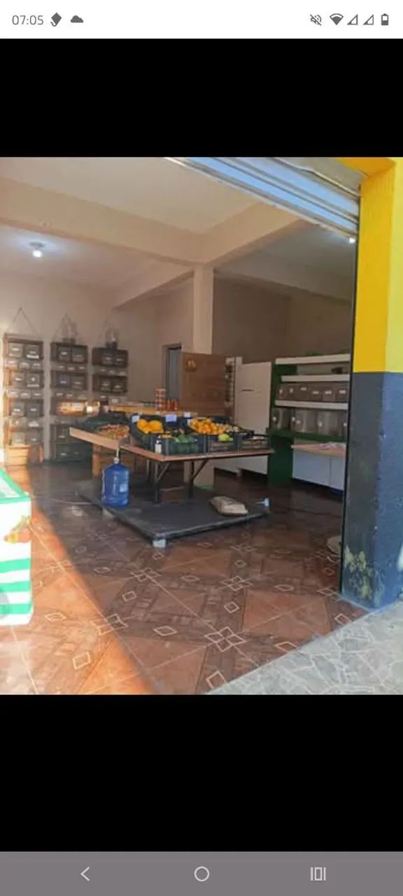 HORTIFRUTI COMPLETO - PASSO O PONTO - PRONTO PARA TRABALHAR - Foto 3