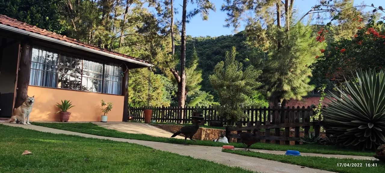 Granja próx a Ewbank da Câmara  - Foto 2