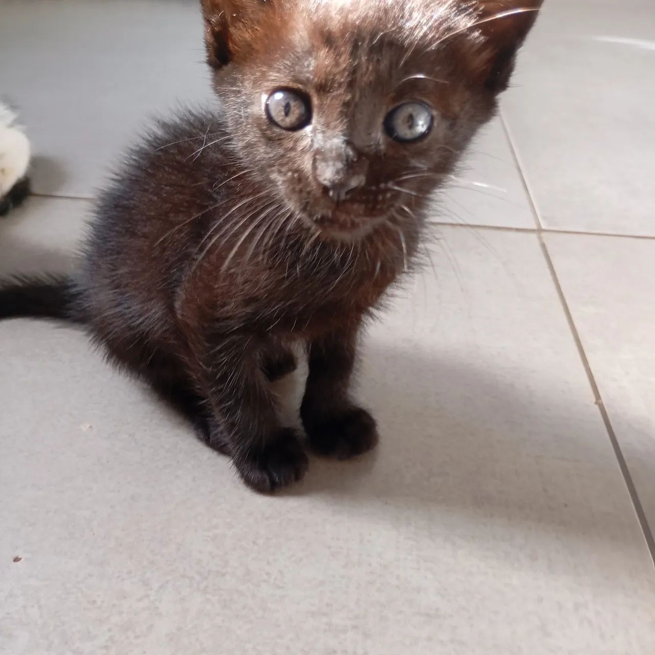 Doação responsável  - Foto 2