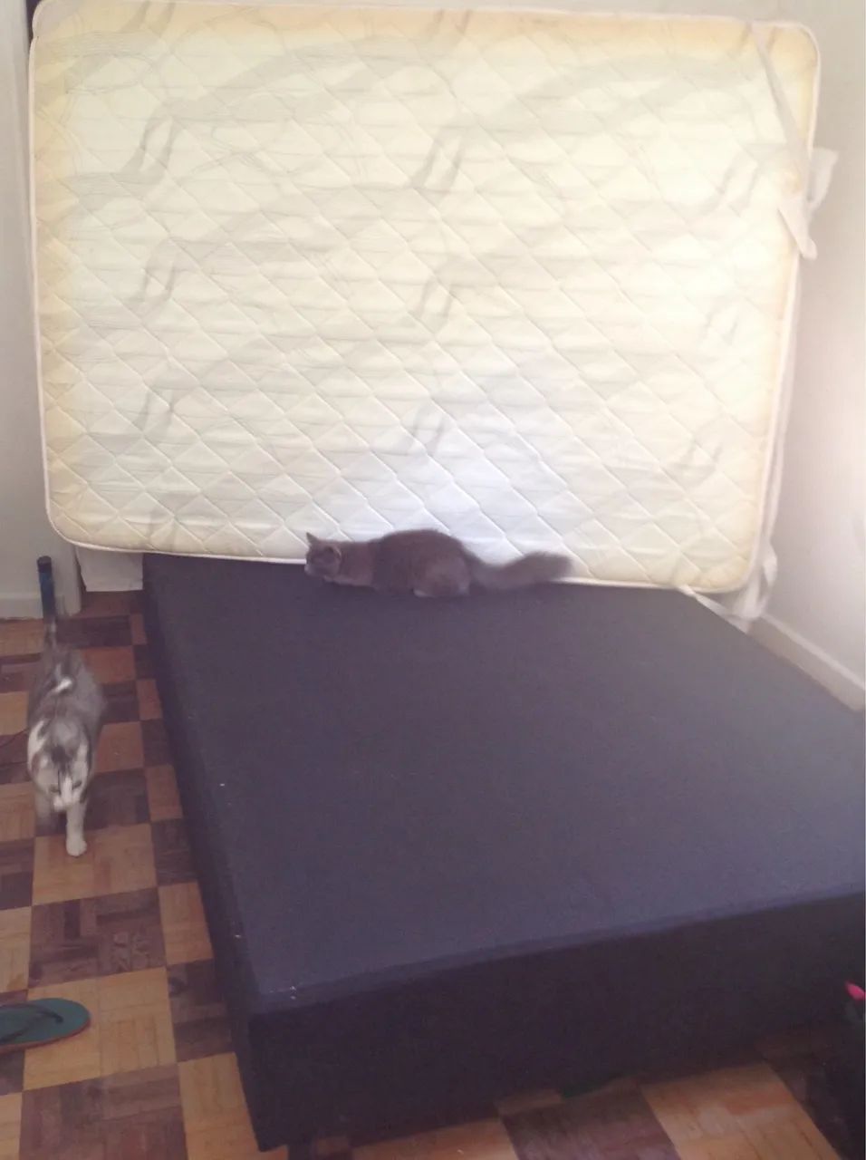 Cama box casal base + colchão comprada em fevereiro  - Foto 2