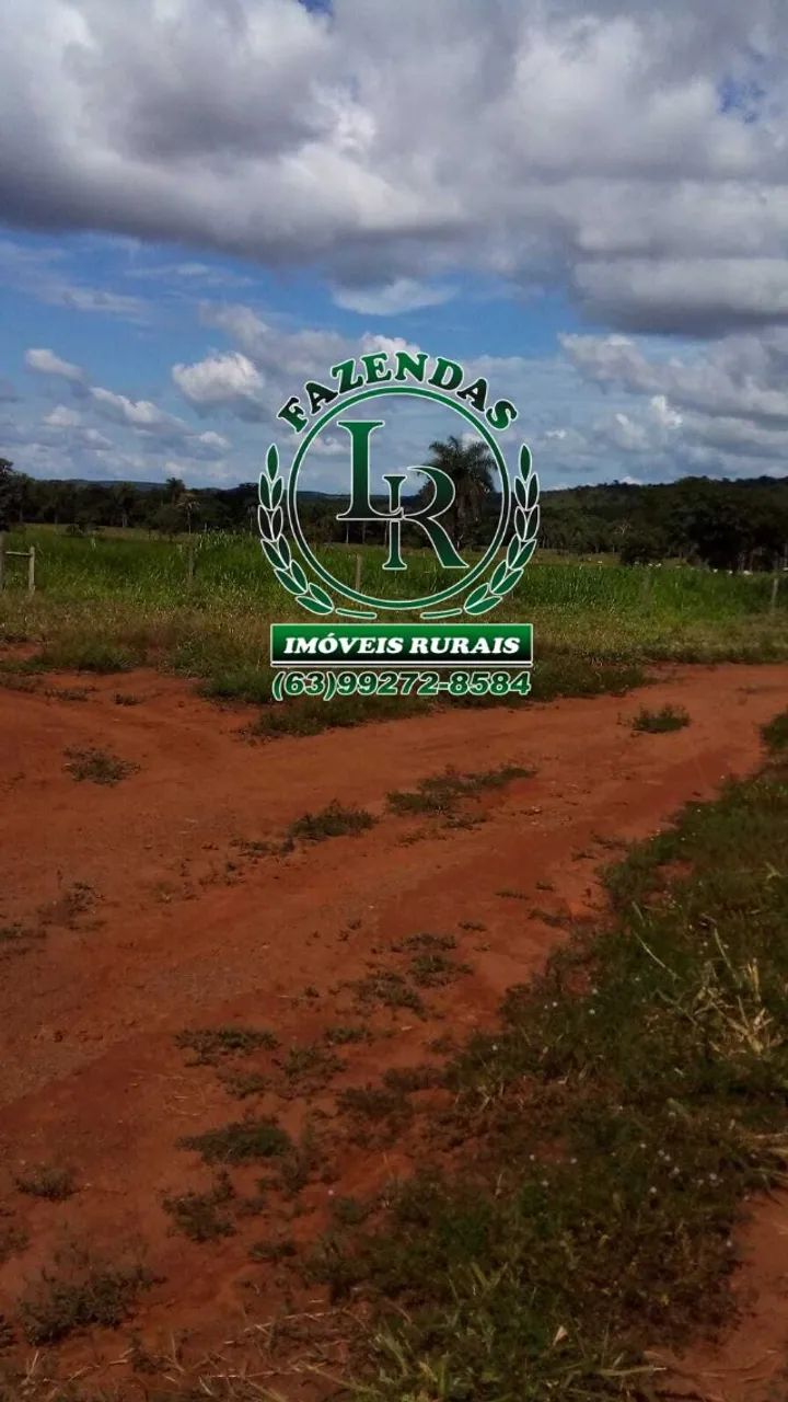 Fazenda 52 Alqueires Dupla Aptidão Região de Luzimangues - Foto 2