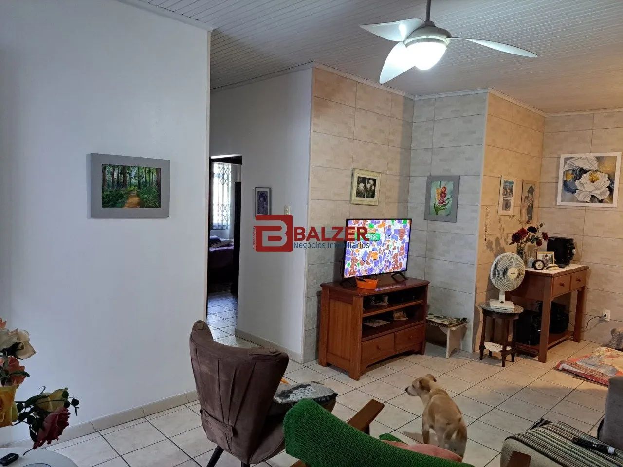 Casa com terreno multifamiliar Agronômica Florian. - Foto 5