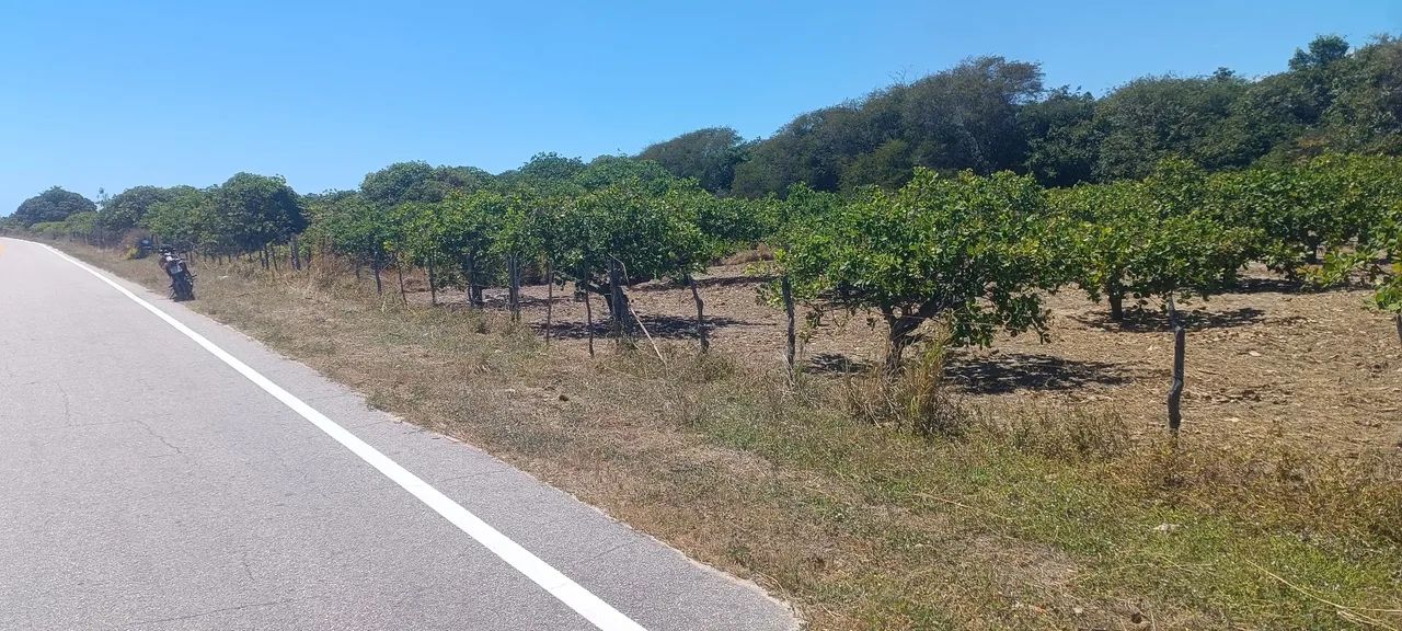 Terreno em lagoa de dentro beberibe - Foto 5