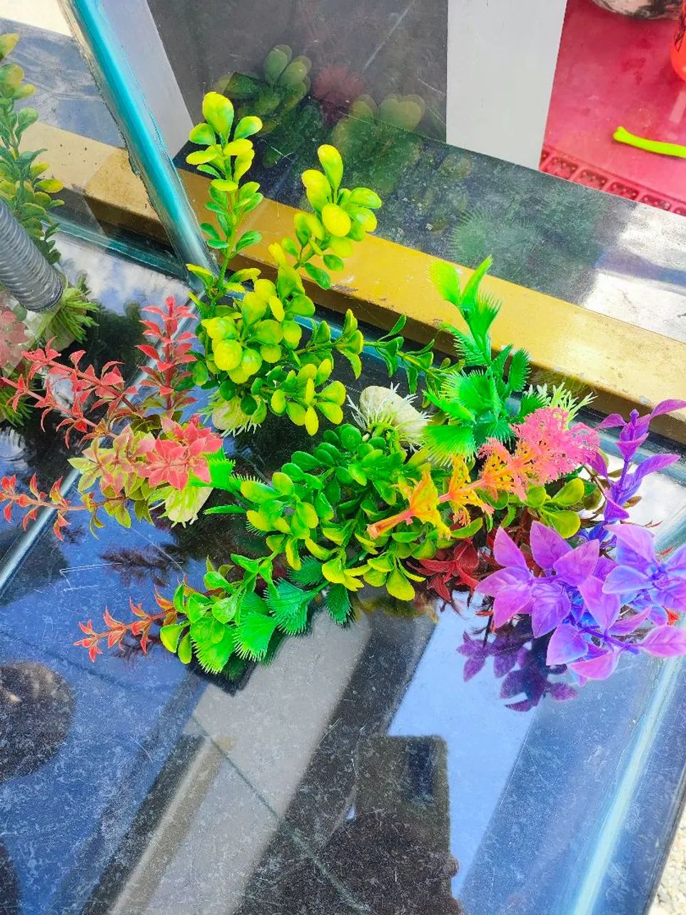 Aquário completo 70 litros  - Foto 3