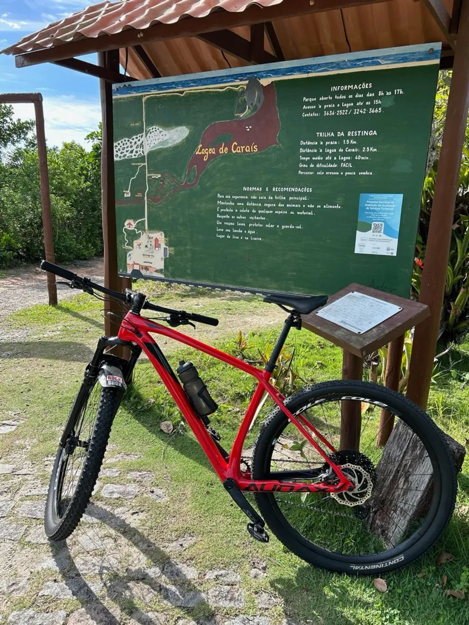 Bike  - Foto 2