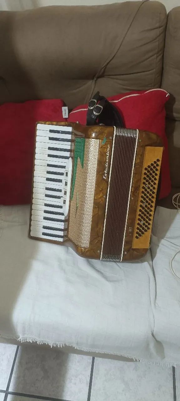 Sanfona de 80 baixos  - Foto 2