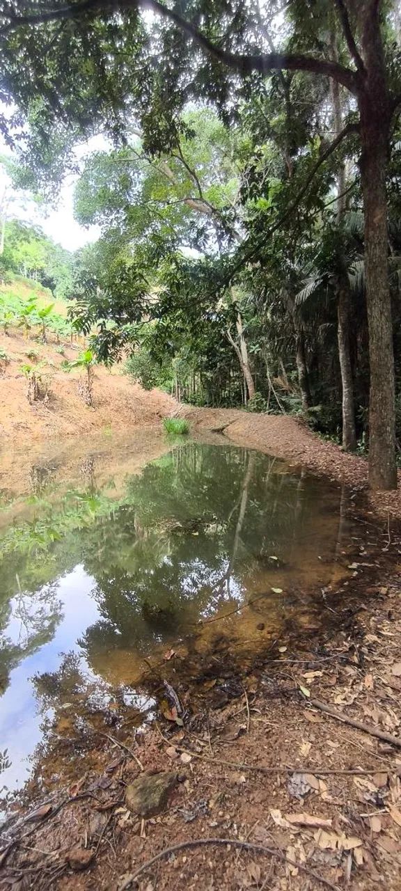 Vendo Chácara em Taquaras - Viana, próximo a Bom Jesus e Peixe Verde  - Foto 5