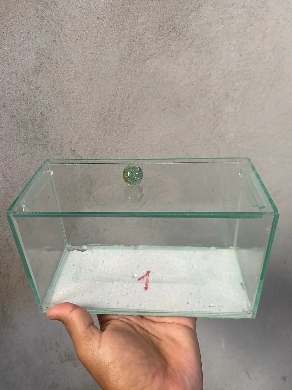 AQUARIO 415075236011714561