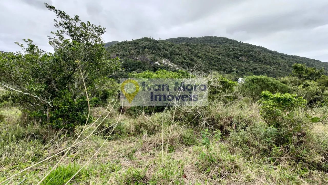 Terreno à venda em Ingleses do Rio Vermelho - Florianópolis - SC - Foto 3
