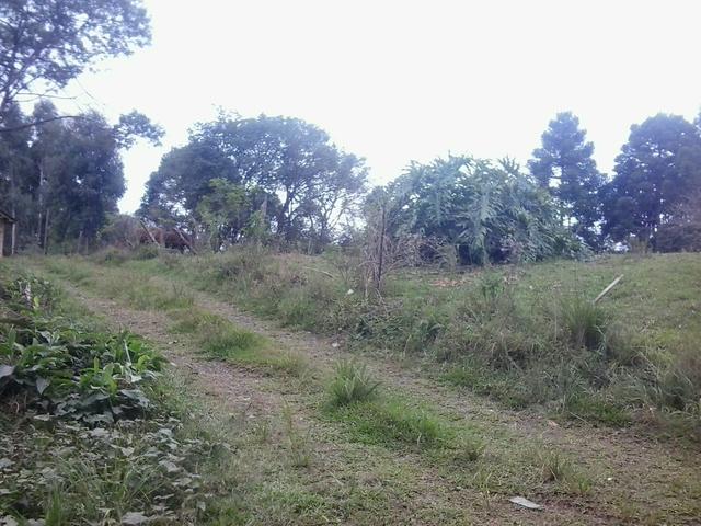 Terreno rural
