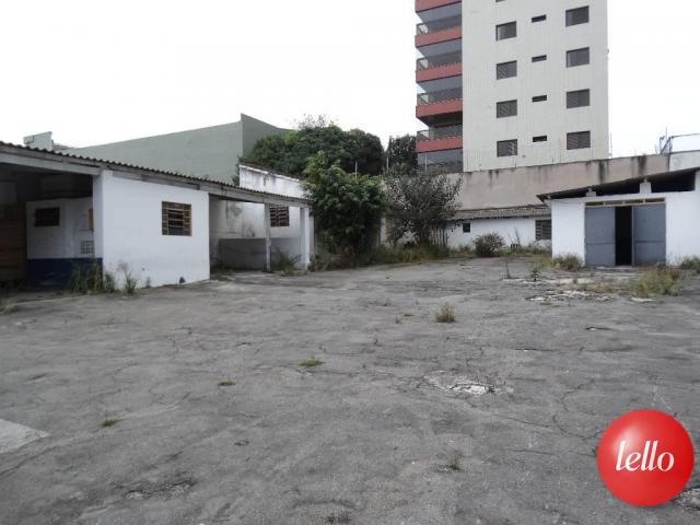 Terreno para alugar em Santa paula, São caetano do sul cod:186432 - Foto 3