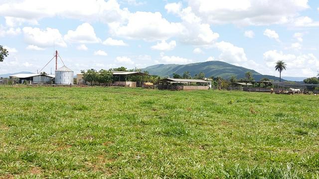 Fazenda Completa Para Gado, Formosa-Go (Oportunidade)