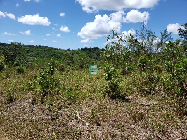 Ubaitaba. Fazenda de oportunidade. São 527 Hectares - Foto 14