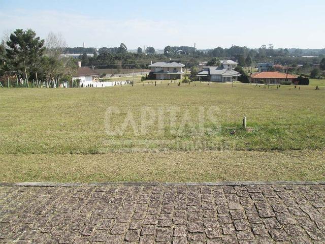 Terreno com 1250m² Campo Largo da Roseira, São José dos Pinhais - Foto 6