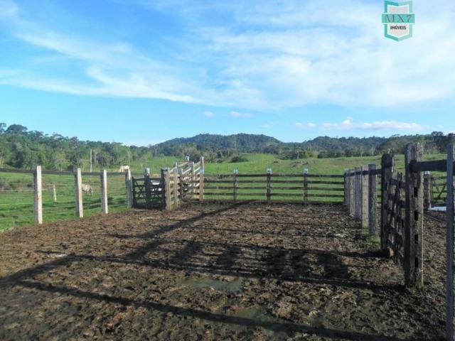 Fazenda em Ubaitaba de 430 Hectares, para gado e cacau. Próximo a Gongogi - Foto 12
