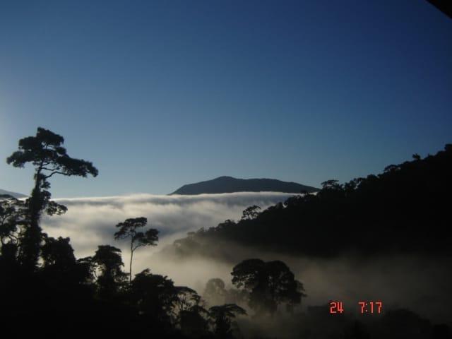 Sítio em Teresópolis - Foto 6