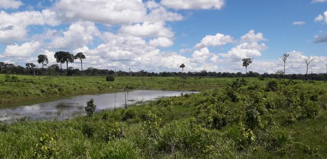 Fazenda em Roraima top - Foto 6