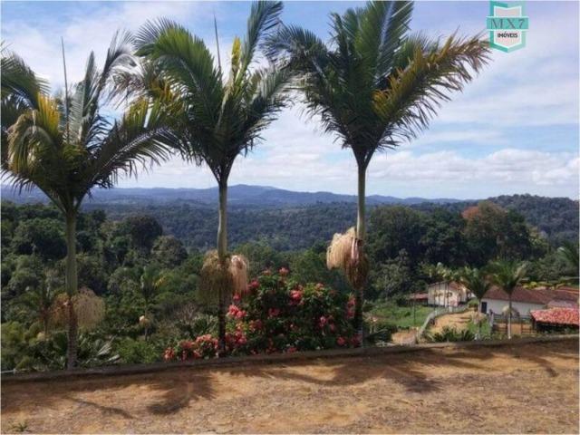 Aiquara . Ótima fazenda produtora de cacau - Foto 5