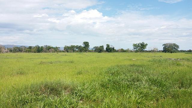 Fazenda Completa Para Gado, Formosa-Go (Oportunidade) - Foto 13