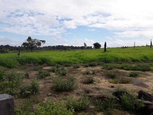 Imperdível fazenda em Roraima Caroebe - Foto 8