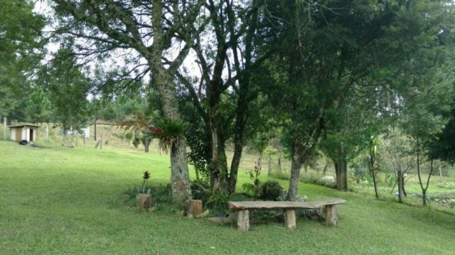 Fazenda para venda em balsa nova, são luiz do puruna 800 m do pedagio, 2 dormitórios, 2 ba - Foto 9